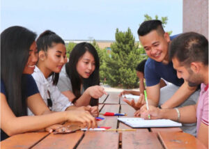 Training Programs - CCSAI